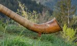 Alphorn Schnee