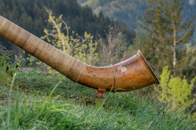 Alphorn Schnee