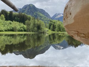 Besonderer Blick auf den Moorweiher