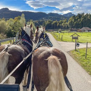 Kutschfahrt ins Rohrmoos mit Bergsport JA