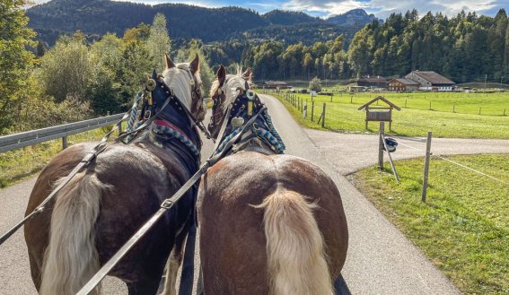 Kutschfahrt ins Rohrmoos mit Bergsport JA