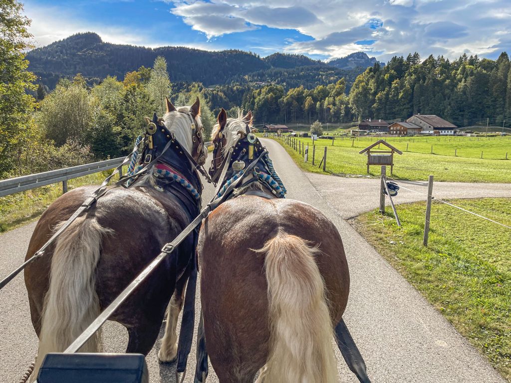 Kutschfahrt ins Rohrmoos mit Bergsport JA