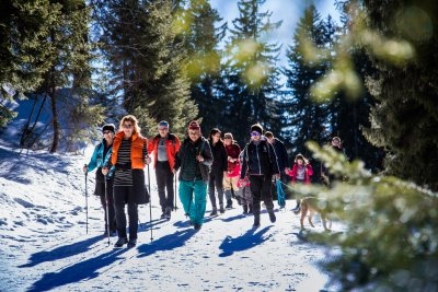 Mit dem Alpinium unterwegs