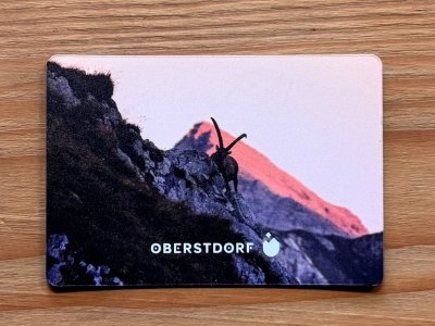 Magnet Steinbock