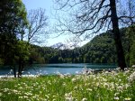 Freibergsee im Frühling