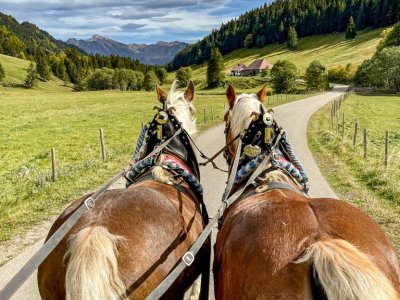 Kulinarische Kutschfahrt