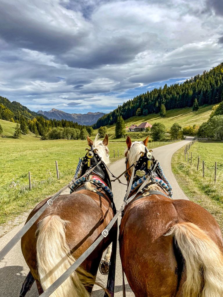 Kulinarische Kutschfahrt