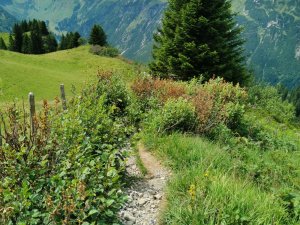 Eselsweg zum Rappensee