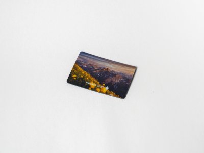 Magnet 