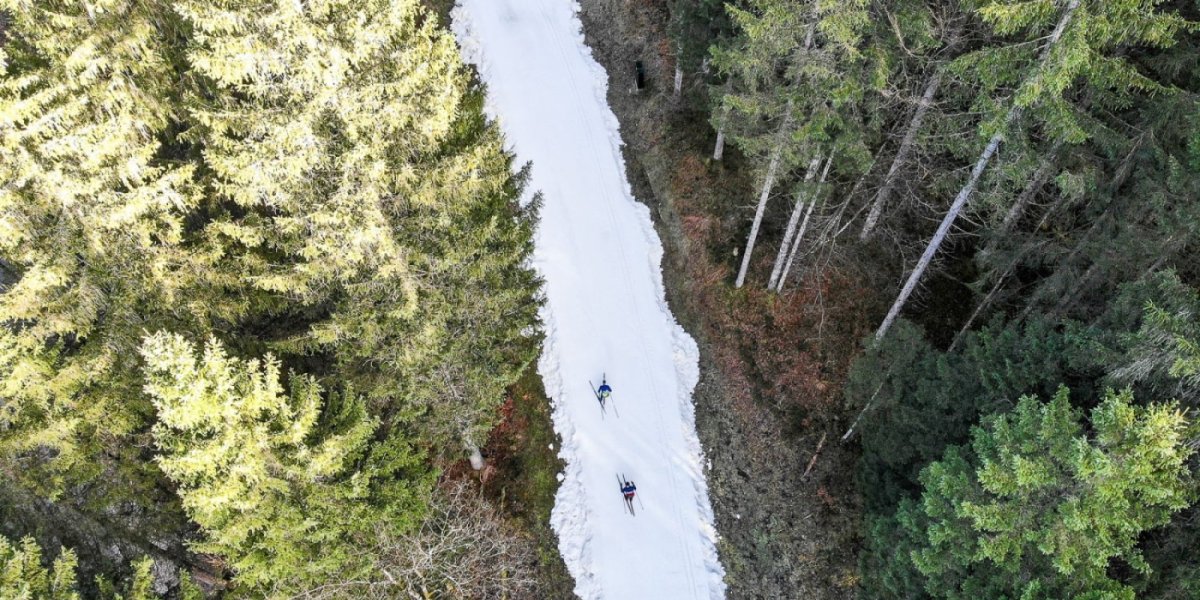 Mit Langlaufski durch die Wälder
