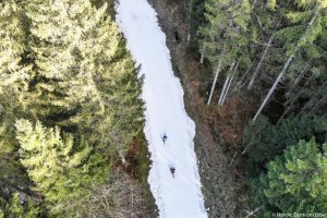 Mit Langlaufski durch die Wälder