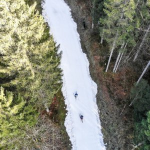 Mit Langlaufski durch die Wälder
