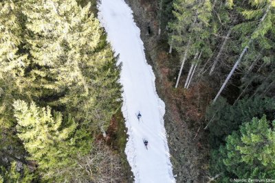 Mit Langlaufski durch die Wälder
