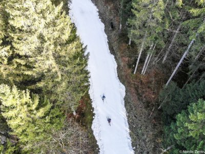 Mit Langlaufski durch die Wälder