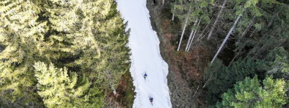 Mit Langlaufski durch die Wälder