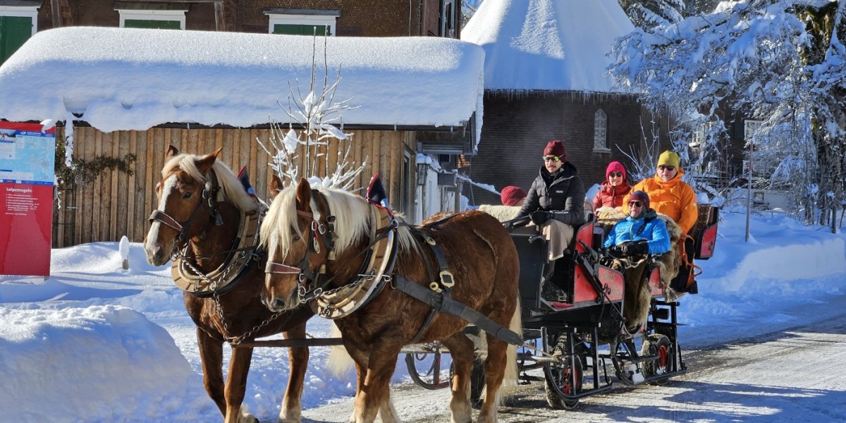 Schlittenfahrt Rohrmoos