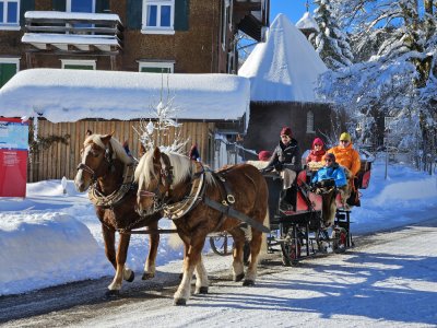 Schlittenfahrt Rohrmoos