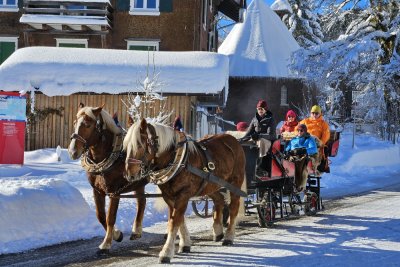 Schlittenfahrt Rohrmoos