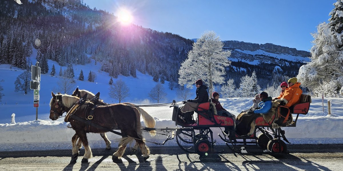 Pferdeschlittenfahrt