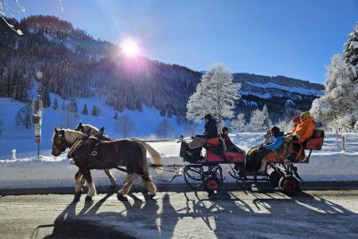 Pferdeschlittenfahrt