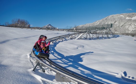 Allgäu Coaster im Winter