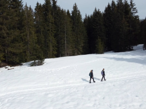 Winterwanderung in Richtung Hochleite