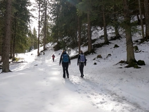 Winterwanderung Richtung Hochleite
