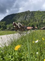 Frühlingsfahrt durch's Breitachtal