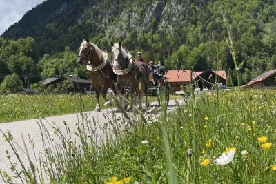 Frühlingsfahrt durch's Breitachtal