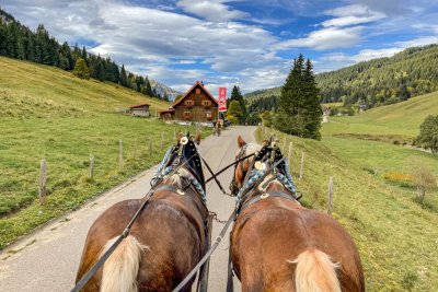 Kutschfahrt ins Rohrmoos