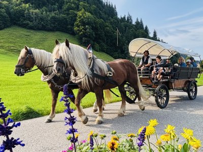 Kulinarische Sundowner Kutschfahrt