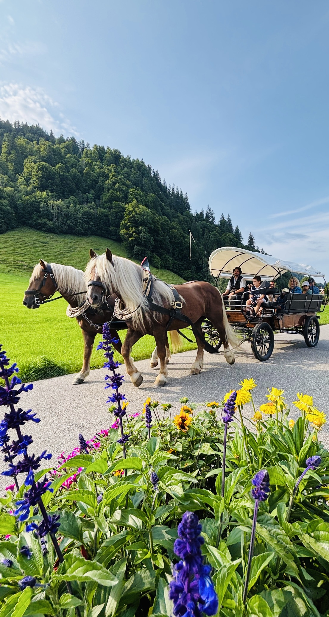 Kulinarische Sundowner Kutschfahrt
