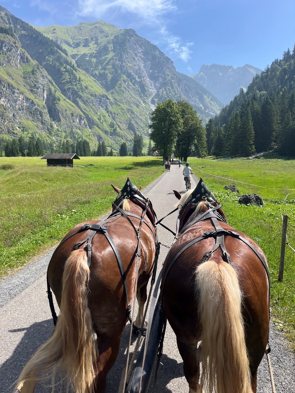 Kutschfahrt in's Oytal