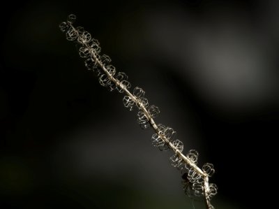Fotografie von Prof. Dr. Kai Hilpert