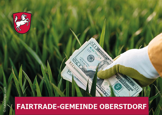 Greenwashing Vortrag Bild