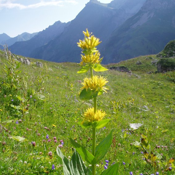 Auf dem Weg zum Laufbacher Eck