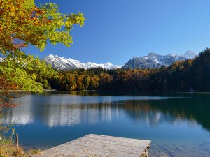 Freibergsee Herbst