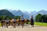 Viehscheid Schöllang Tourismus Oberstdorf (1)