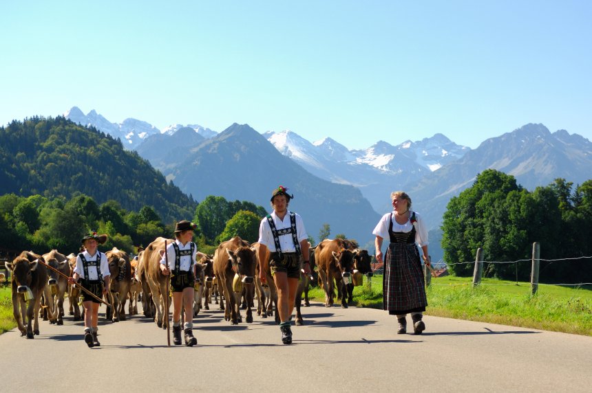 Viehscheid Schöllang Tourismus Oberstdorf (1)