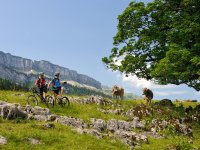 Mountainbike Rohrmoostal 1 Tourismus Oberstdorf