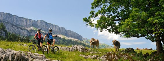 Mountainbike Rohrmoostal 1 Tourismus Oberstdorf