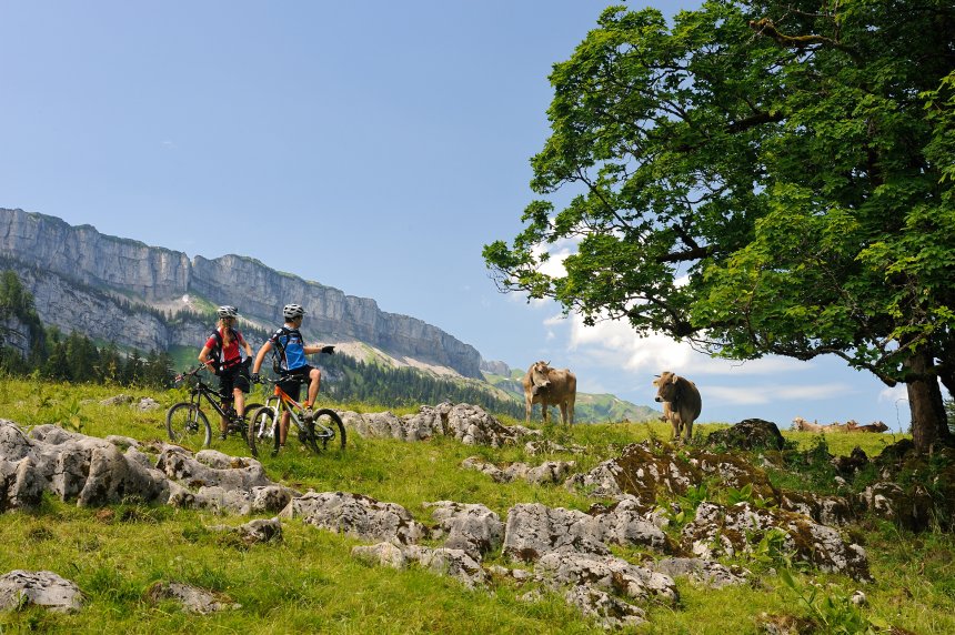 Mountainbike Rohrmoostal 1 Tourismus Oberstdorf