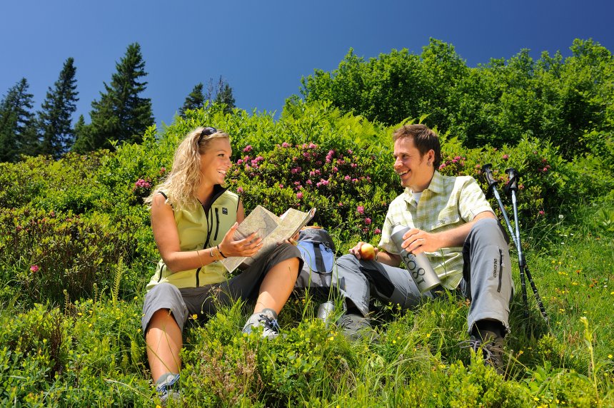 Fellhorn Alpenrosenblüte quer Tourismus Oberstdorf