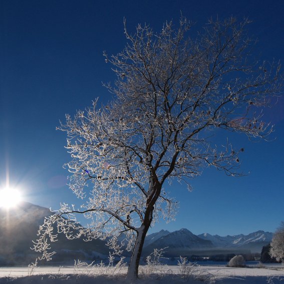 Rubi Winter Tourismus Oberstdorf