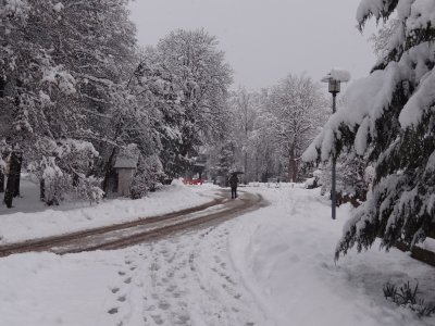 Neuschnee