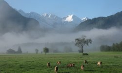 Foto: Inge Holzenberger