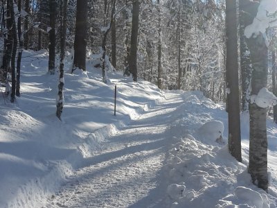 Winterwanderweg