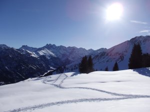 Schneeschuhspur