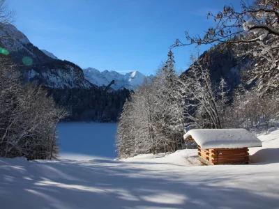 Freibergsee im Winter