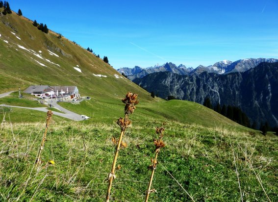 Blick zur Schlappoldalpe